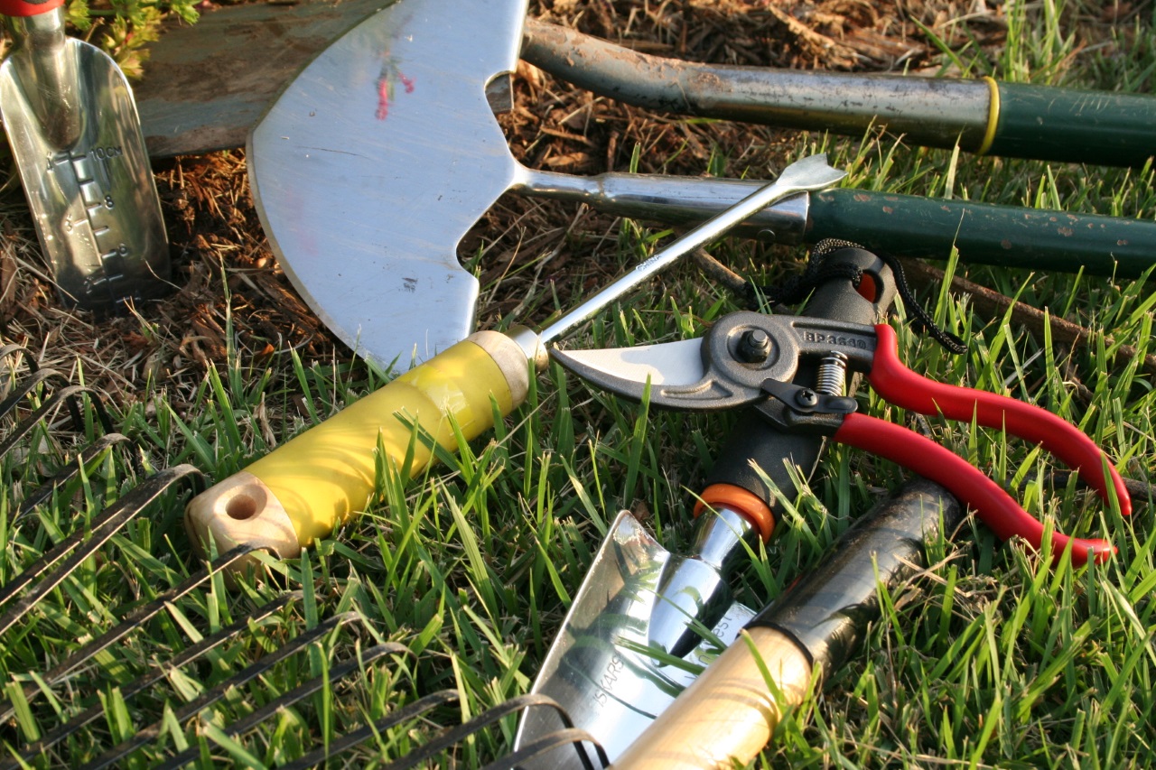 10 Must-Have Outdoor Gardening Tools